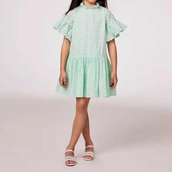 Janie & Jack Eyelet Flutter Sleeve Dress Size 10 EUC - Picture 1 of 7
